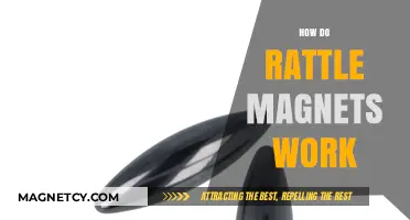 Unveiling the Science Behind Rattle Magnets: A Comprehensive Guide