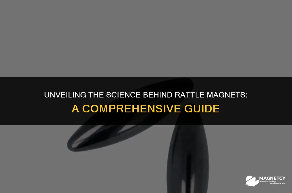 how do rattle magnets work