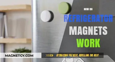 Exploring the Science Behind Refrigerator Magnets: A Simple Guide