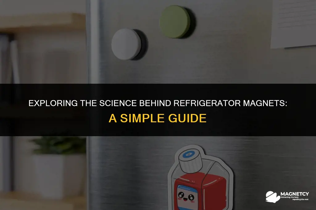 how do refrigerator magnets work