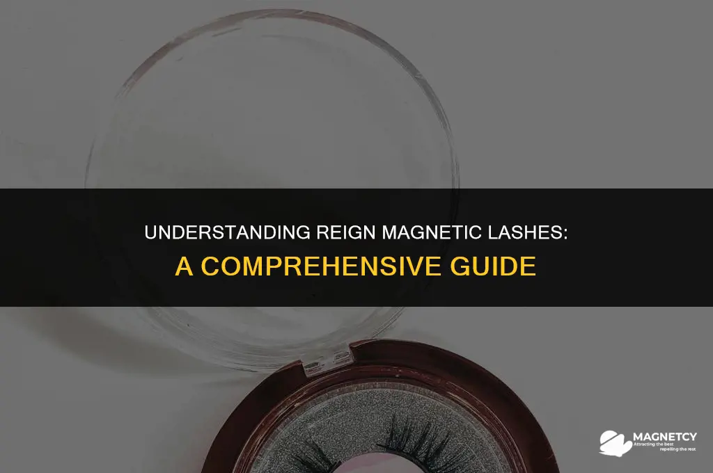 how do reign magnetic lashes work