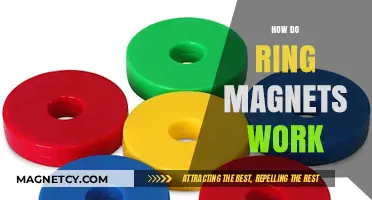 Exploring the Science Behind Ring Magnets: A Comprehensive Guide