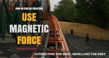 Magnetic Magic: How Roller Coasters Harness Magnetic Force for Thrills