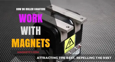 Magnetic Thrills: The Science Behind Roller Coasters' Gravity-Defying Feats