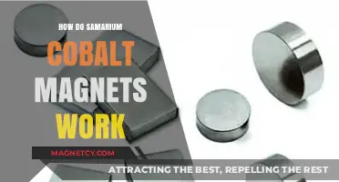 Exploring the Science Behind Samarium Cobalt Magnets