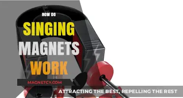 Harmonious Attraction: Unveiling the Science Behind Singing Magnets