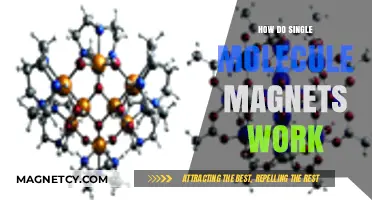 Unlocking the Mysteries of Single Molecule Magnets: A Deep Dive