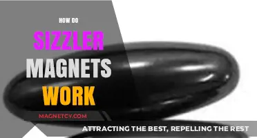 Unveiling the Science Behind Sizzler Magnets: A Comprehensive Guide