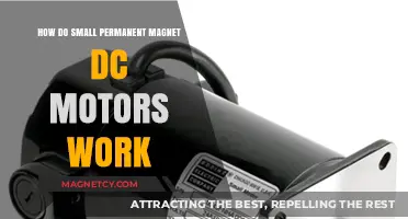 Exploring the Inner Workings of Small Permanent Magnet DC Motors