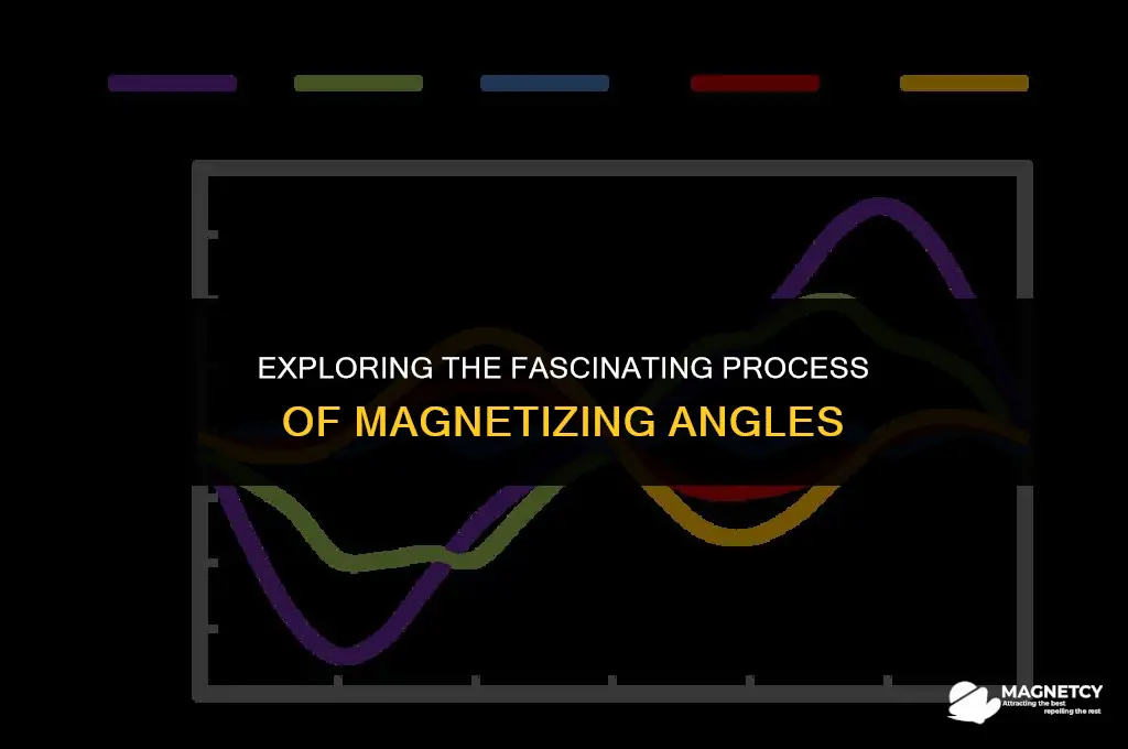 how do they make angle magnetized magnets