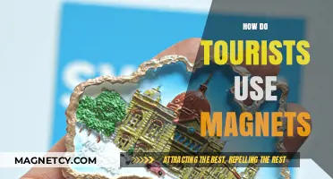 Exploring How Tourists Use Magnets as Unique Travel Souvenirs