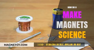 Unlocking the Secrets of Magnetism: A DIY Science Guide