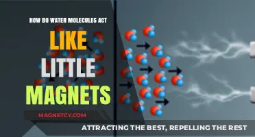 The Magnetic Dance of Water Molecules: Unveiling Their Hidden Attraction