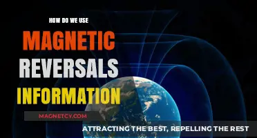 Unlocking Earth's Secrets: How Magnetic Reversals Shape Our Understanding