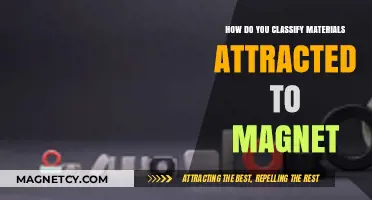 Understanding Magnetic Attraction: Classifying Materials Drawn to Magnets