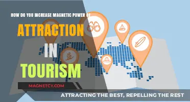 Boosting Tourism Magnetism: Strategies to Enhance Destination Attraction Power