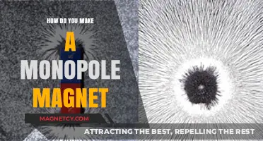 Crafting a Monopole Magnet: The Ultimate DIY Guide