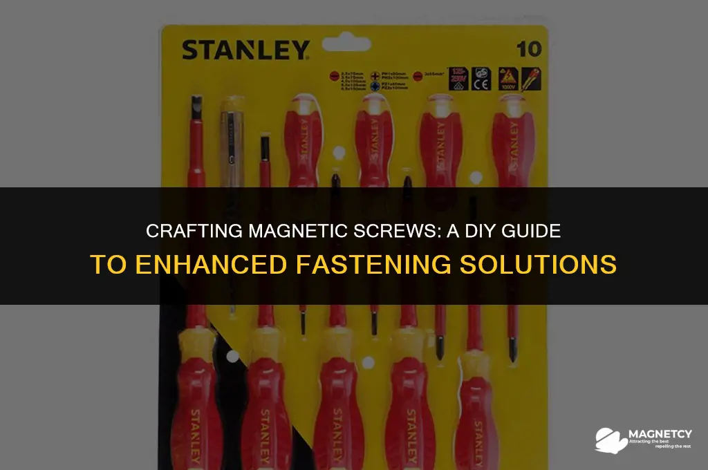 how do you make magnetic screws