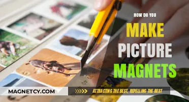 Crafting Memories: A Simple Guide to Making Picture Magnets