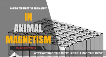 Crafting Animal Magnetism: A Guide to Making Bar Magnets
