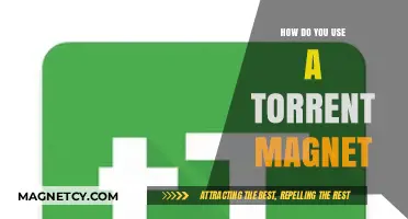 Mastering Torrent Magnet Links: A Step-by-Step Guide for Beginners