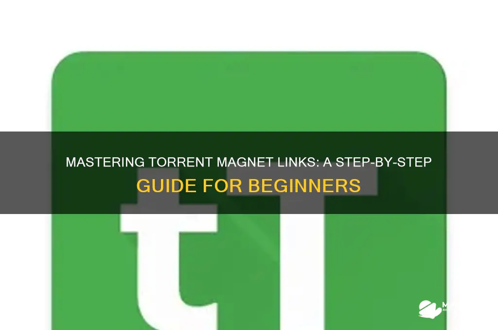 how do you use a torrent magnet