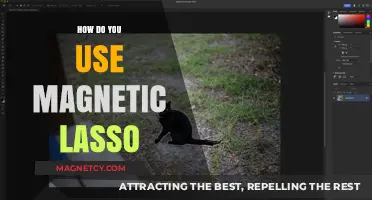 Mastering the Magnetic Lasso Tool: A Step-by-Step Guide for Precision Selections