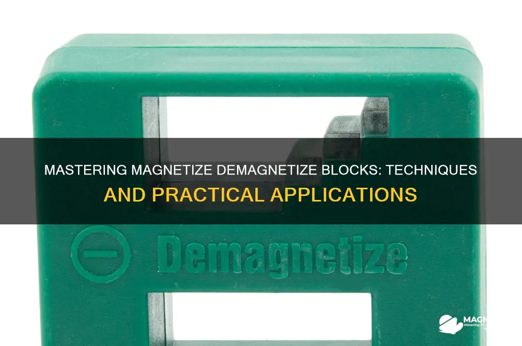how do you use magnetize demagnetize block