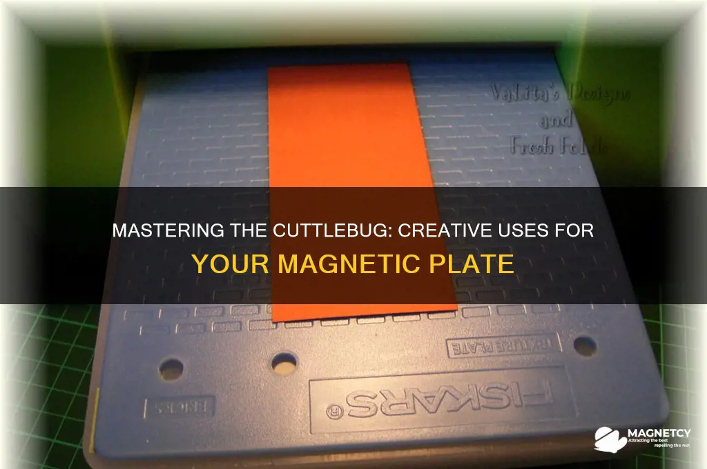 how do you use the magnetic plate for the cuttlebug