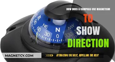Magnetic Navigation: How Compasses Use Earth's Field to Indicate Direction