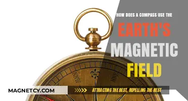 How Compasses Harness Earth's Magnetic Field for Navigation