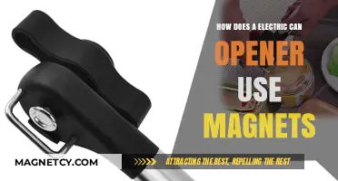 Magnetic Magic: How Electric Can Openers Use Magnets to Simplify Life