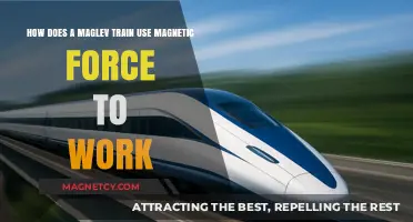 Magnetic Levitation: How Maglev Trains Use Magnetic Force to Work