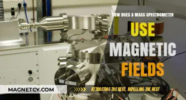 Magnetic Fields in Mass Spectrometry: Unlocking Molecular Identification Techniques
