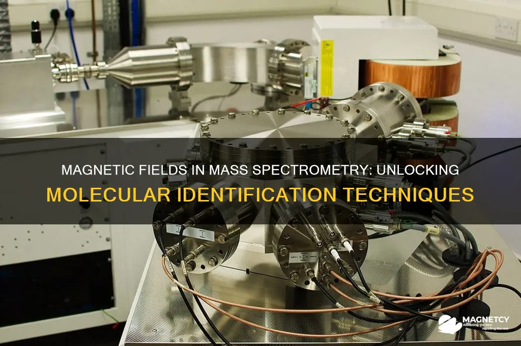 how does a mass spectrometer use magnetic fields