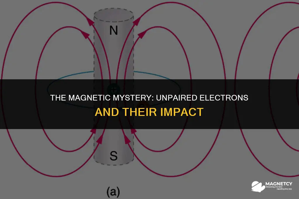 how does an unpaired electron make it magnetic