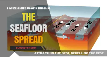 Unveiling the Seafloor: Earth's Magnetic Field at Work