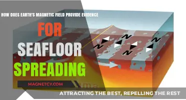 Unlocking the Secrets of Seafloor Spreading: Earth's Magnetic Field as a Key Witness