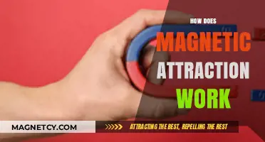 Unveiling the Science Behind Magnetic Attraction: How Forces Connect