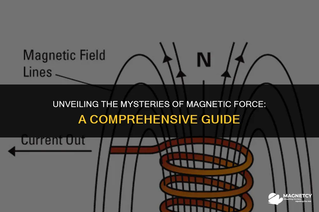 how does magnetic force work