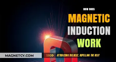 Unveiling the Mysteries of Magnetic Induction: A Comprehensive Guide