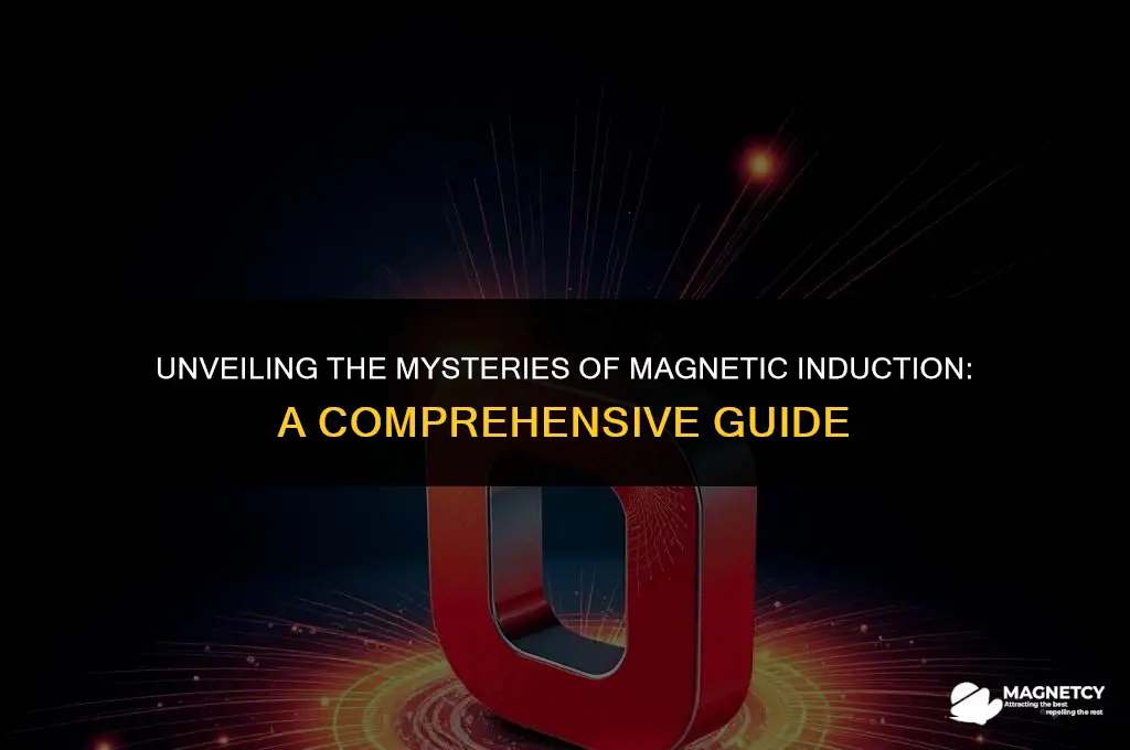 how does magnetic induction work