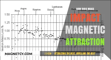 Mass and Magnetism: Exploring the Influence on Magnetic Attraction