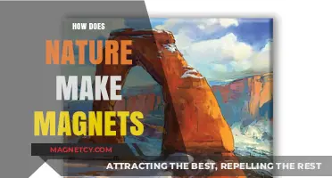 Unlocking the Secrets: How Nature Crafts Its Own Magnets