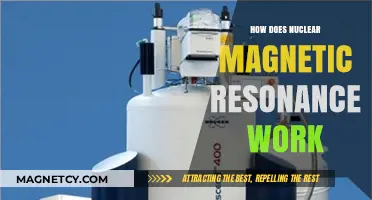 Unveiling the Mysteries of Nuclear Magnetic Resonance