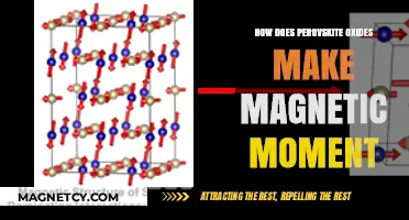 Unlocking the Magnetic Potential of Perovskite Oxides: A Deep Dive