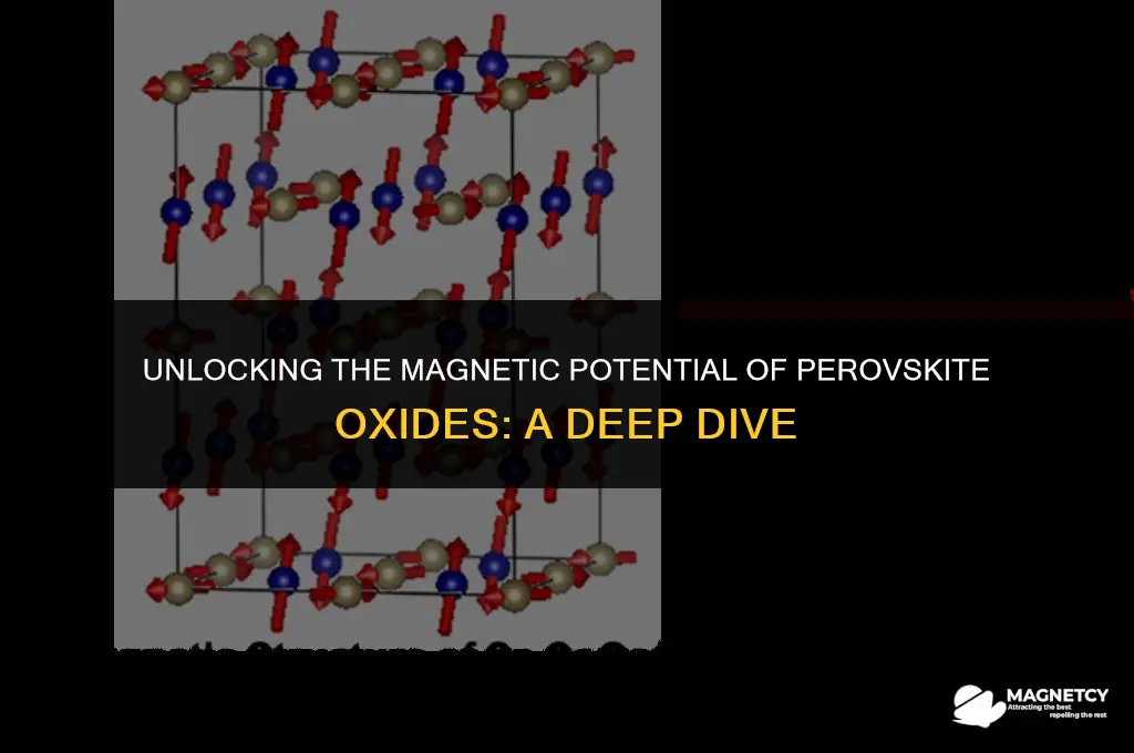 how does perovskite oxides make magnetic moment