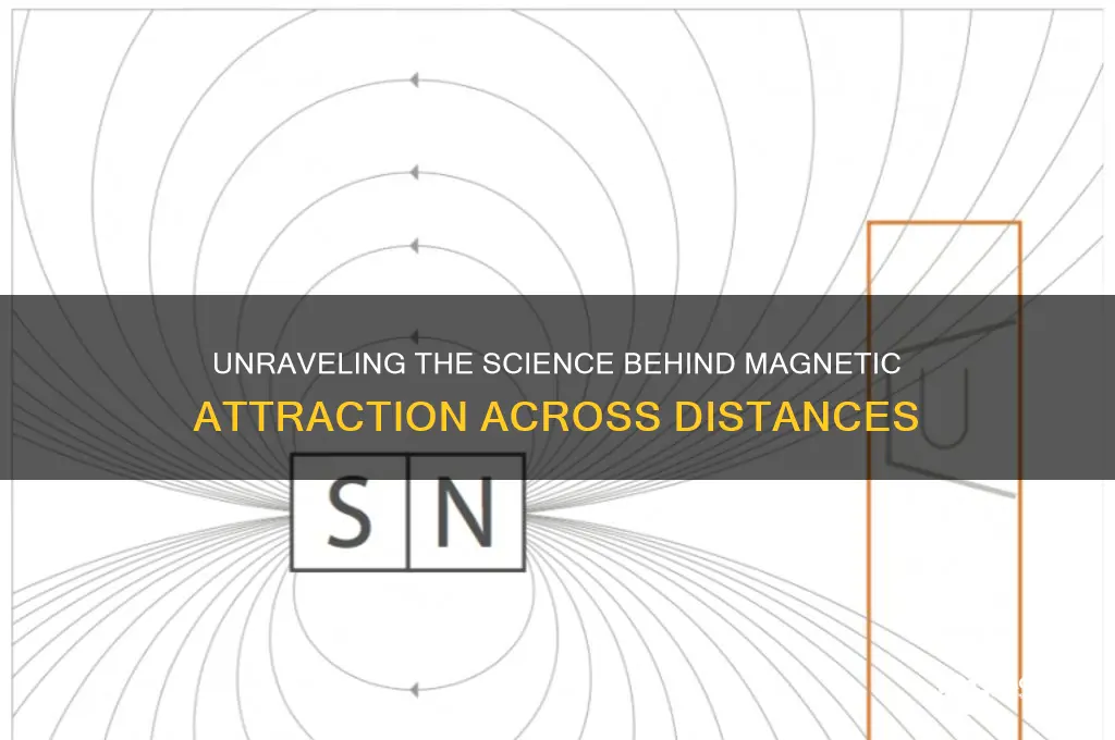 how does science explain attraction to distance magnetism