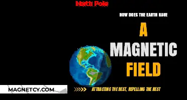 Unveiling the Mysteries: Earth's Magnetic Field Explained