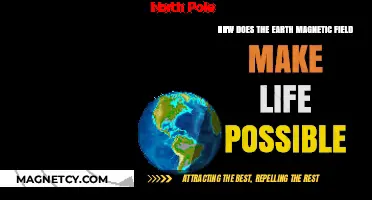 Shielded by the Invisible: Earth's Magnetic Field and Life's Genesis